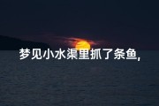 梦见小水渠里抓了条鱼,梦见小水渠里抓了条鱼好不好