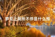 梦见上厕所不停是什么预兆