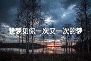 我梦见你一次又一次的梦见你,有几次我梦见了你