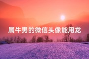 属牛男的微信头像能用龙吗