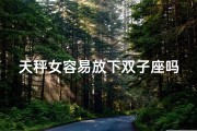 天秤女容易放下双子座吗