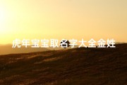 虎年宝宝取名字大全金姓、虎年宝贝姓名