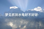 梦见抓到水龟好不好呀-梦见在水里逮到一只乌龟