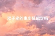 双子座的鬼步鞋能穿吗
