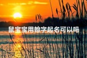 鼠宝宝用翰字起名可以吗,鼠宝宝翰字起名：寓意美好，传承文化之美