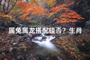 属兔属龙搭配佳否？生肖相配大揭秘