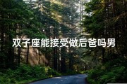 双子座能接受做后爸吗男