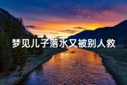 梦见儿子落水又被别人救活了_梦见儿子落水我把他救起