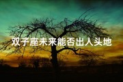双子座未来能否出人头地？