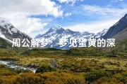 周公解梦：梦见蛋黄的深层解析