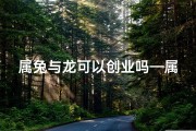 属兔与龙可以创业吗—属兔能和属龙的合伙做生意吗