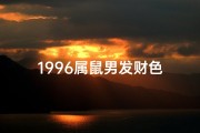 1996属鼠男发财色