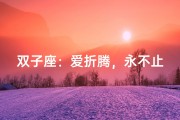 双子座：爱折腾，永不止步
