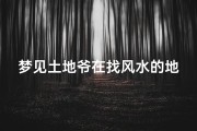 梦见土地爷在找风水的地方_梦见土地神到家是什么意思