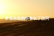 梦见去世的爷爷长了四只手(梦见死去的爷爷胖了)