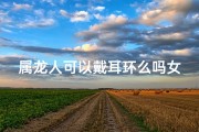 属龙人可以戴耳环么吗女生;属龙可以戴龙饰品吗