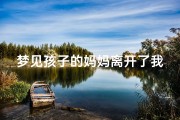 梦见孩子的妈妈离开了我;梦见孩子他妈回来了