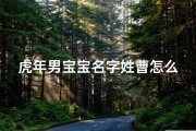 虎年男宝宝名字姓曹怎么取_曹氏男虎宝宝起名大全