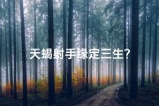 天蝎射手缘定三生？