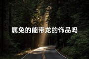 属兔的能带龙的饰品吗