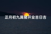 正月初九属猪开业吉日吉时、属猪的正月初九生好不好