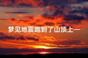 梦见地震跑到了山顶上—梦见地震我跑到了山上