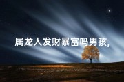 属龙人发财暴富吗男孩,属龙男孩财运亨通，揭秘发财暴富秘诀