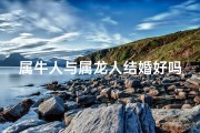 属牛人与属龙人结婚好吗
