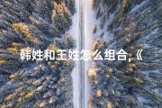 韩姓和王姓怎么组合,《韩王世家，宝宝名字大全：传承经典，寓意美好》