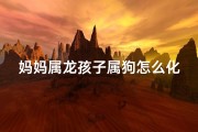 妈妈属龙孩子属狗怎么化解—《龙母狗儿相冲之谜：命运能否化解》