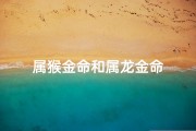 属猴金命和属龙金命