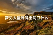 梦见大量蝉爬出洞口什么意思_梦见一堆蝉