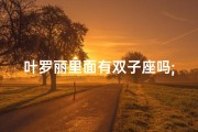 叶罗丽里面有双子座吗;《揭秘叶罗丽：双子座仙子之谜》