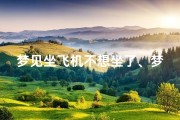 梦见坐飞机不想坐了、梦见坐飞机但是又没去