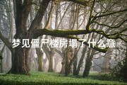 梦见僵尸楼房塌了什么意思、梦见僵尸灾难