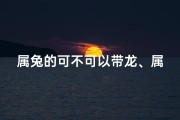 属兔的可不可以带龙、属兔戴龙蛋吉利吗？揭秘生肖运势之谜