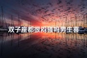 双子座都很闷骚吗男生喜欢你吗、双子座都很闷骚吗男生喜欢你吗知乎