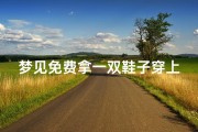 梦见免费拿一双鞋子穿上去(梦见拿鞋子给别人穿好不好)