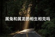 属兔和属龙的相生相克吗女_属兔属龙相生相克：命运交织的奇妙关系