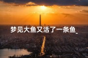 梦见大鱼又活了一条鱼_做梦梦见鱼又活了