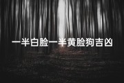 一半白脸一半黄脸狗吉凶(一半脸白一半脸黑的狗)
