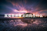 属兔爸爸属龙妈妈生什么宝宝好-《龙子虎母兔爸，一家三口生肖趣谈》