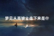 梦见从高坡上走下来是什么预兆、梦到从高到低坡上滑下来啥意思