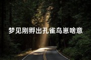 梦见刚孵出孔雀鸟崽啥意思,梦见孔雀孵蛋
