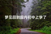 梦见回到国内初中上学了—梦见回去上初中