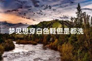 梦见想穿白色鞋但是都洗湿了;梦见自己穿了一双白鞋弄脏了