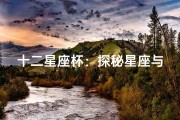 十二星座杯：探秘星座与个性魅力