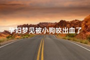 孕妇梦见被小狗咬出血了怎么办—孕妇梦见被小狗咬出血了怎么办呀