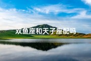 双鱼座和天子座配吗