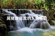 属猪跟属龙的人合不合,属猪属龙性格互补，携手共进